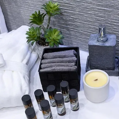 Luminous Luxury House