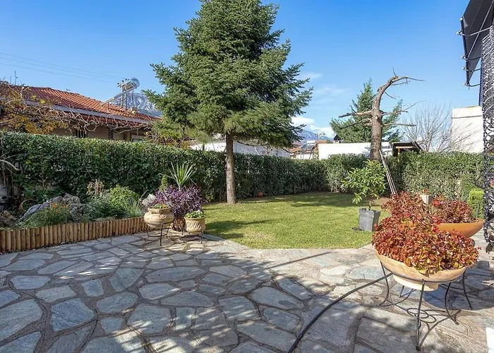 Luminous Luxury House